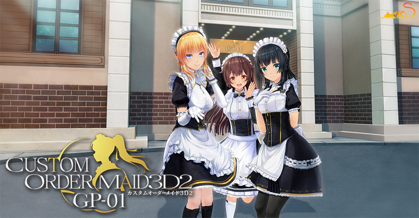 カスタムオーダーメイド3D2 GP-01 パッケージ画像